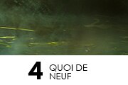 4. Quoi de neuf en janvier