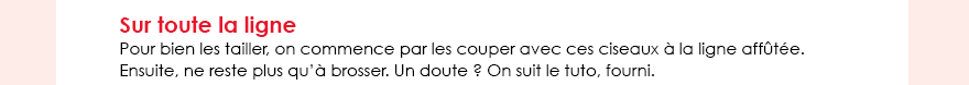 Sur toute la ligne Pour bien les tailler, on commence par les couper avec ces ciseaux à la ligne affûtée. Ensuite, ne reste plus qu’à brosser. Un doute ? On suit le tuto, fourni.