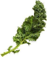 Légume vert